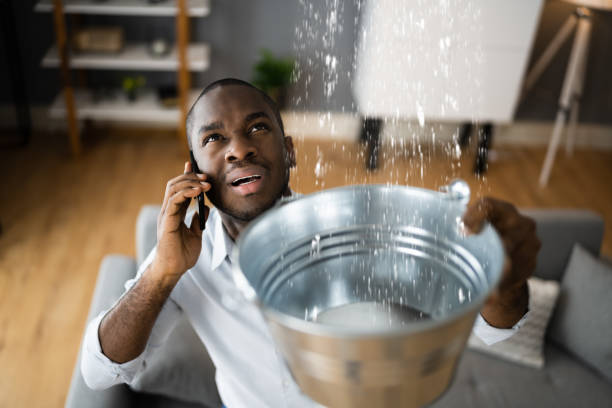 Best Mold removal after water damage  in Shenandoah, PA