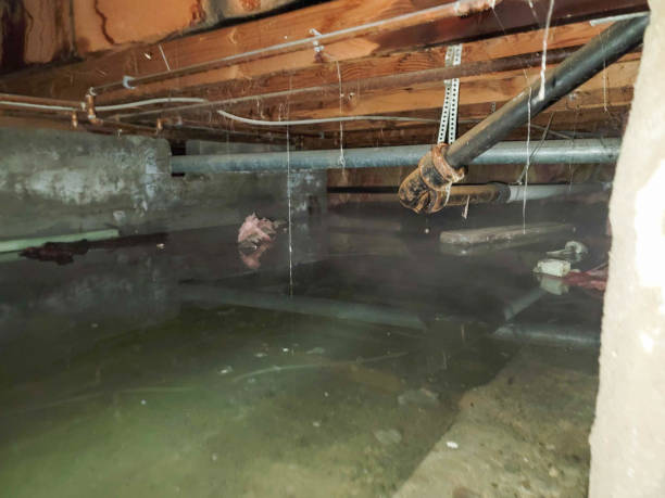 Best Ceiling water damage repair  in Shenandoah, PA