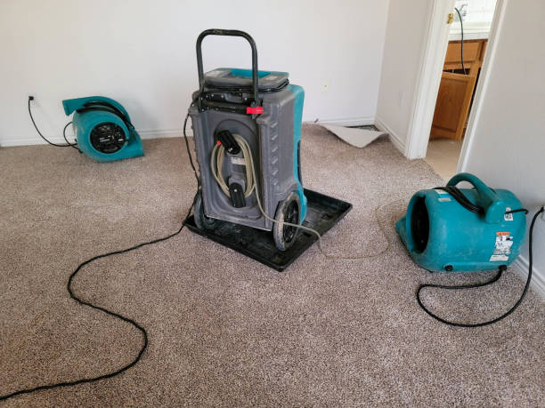 Best Water damage restoration near me  in Shenandoah, PA