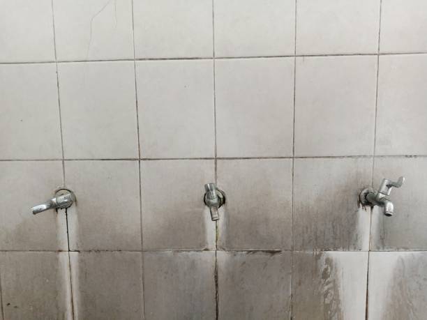 Carpet water damage restoration in Shenandoah, PA