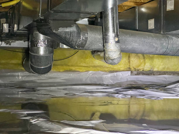 Best 24/7 water damage repair  in Shenandoah, PA