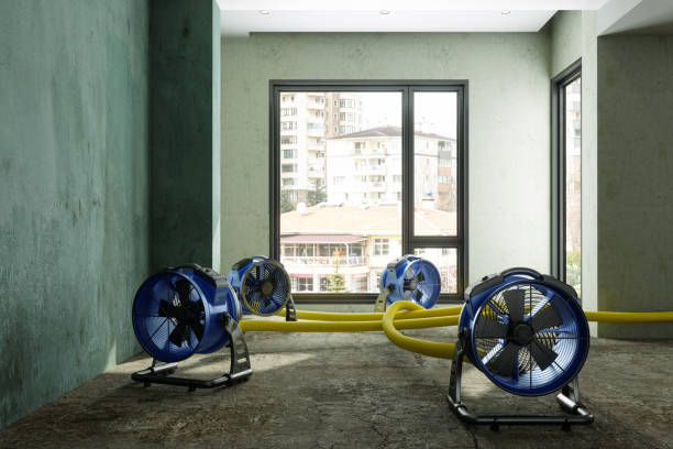 Best Water damage contractors near me  in Shenandoah, PA